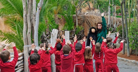 Educación - Bioparc Valencia - Aventura infantil 2012