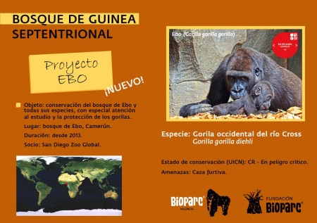 Bioparc Valencia celebra el Día de África y el Día Internacional de la Biodiversidad