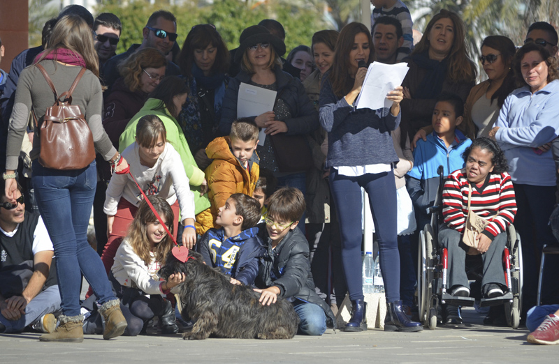 Carmen Alcaye - 7º desfile de perros abandonados organizado por AUPA y BIOPARC Valencia