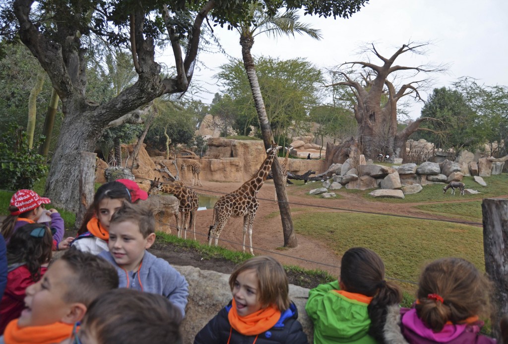 BIOPARC Valencia - Expedición África Navidad 2015 - Expertos en jirafas