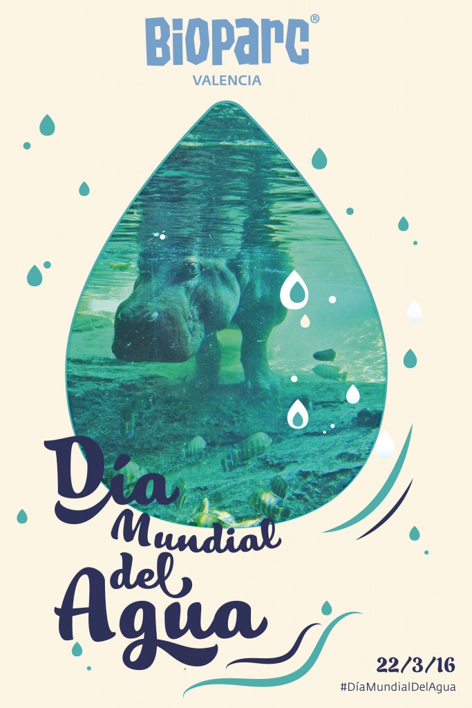 Cartel Día Mundial del Agua 2016