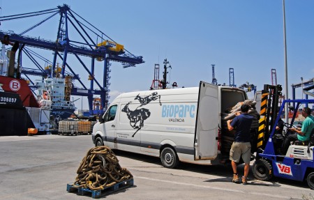 Los animales de BIOPARC Valencia utilizarán el material de Boluda Corporación Marítima