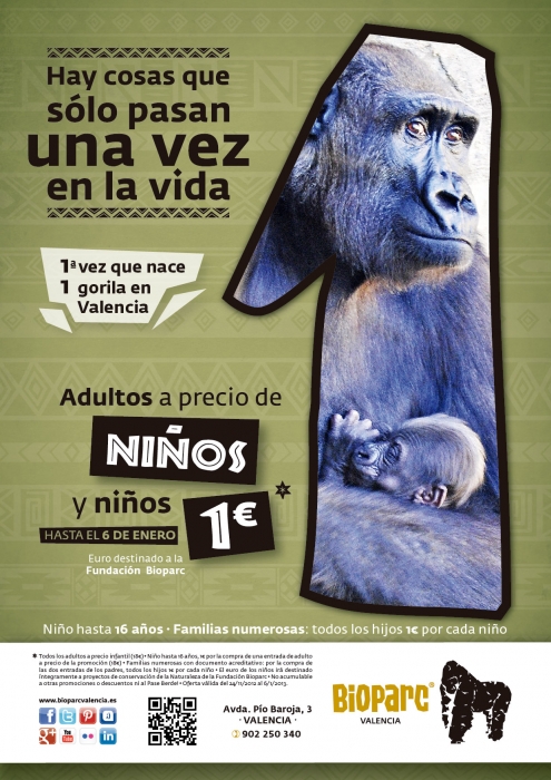 Bioparc Valencia - Promoción - Hay cosas que solo pasan una vez en la vida - primer gorila nacido en Valencia