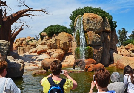 Bioparc Valencia - Visitantes disfrutando del baño de los elefantes