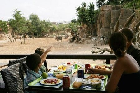 Bioparc Valencia - Terraza restaurante Samburu