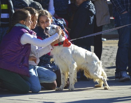 Niñas con SET - 5 desfile solidario de perros - AUPA EN BIOPARC