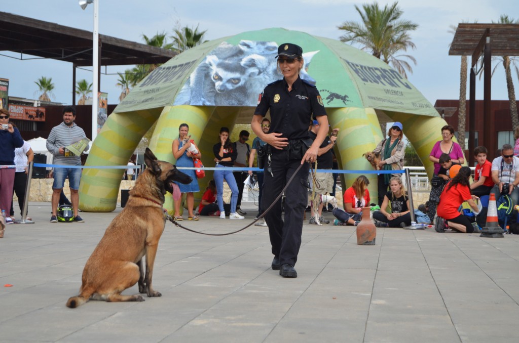 Unidad Canina Policía Nacional Valencia - BIOPARC