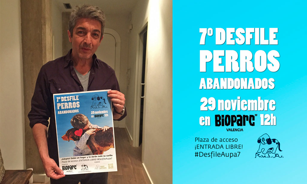 Ricardo Darín apoya el desfile de perros abandonados de este domingo en Valencia