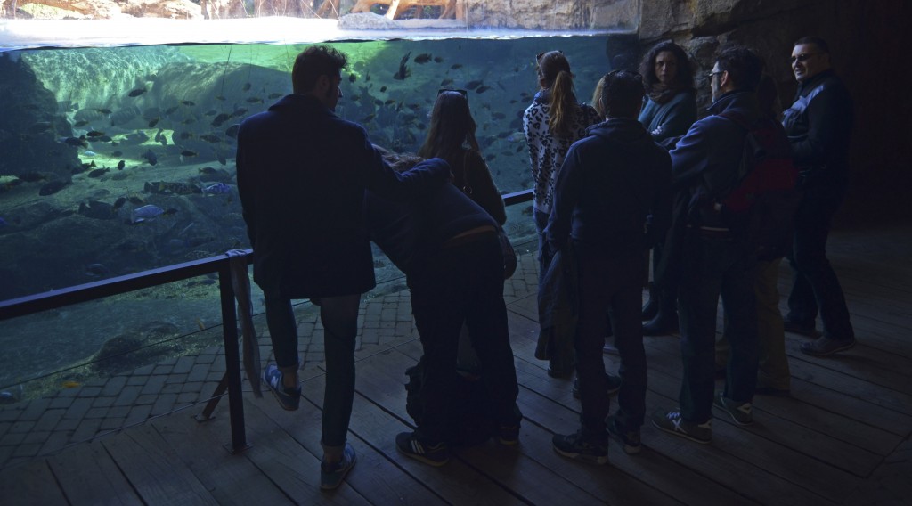 SISTER ACT visita BIOPARC Valencia - viendo los hipopótamos en la cueva de Kitum