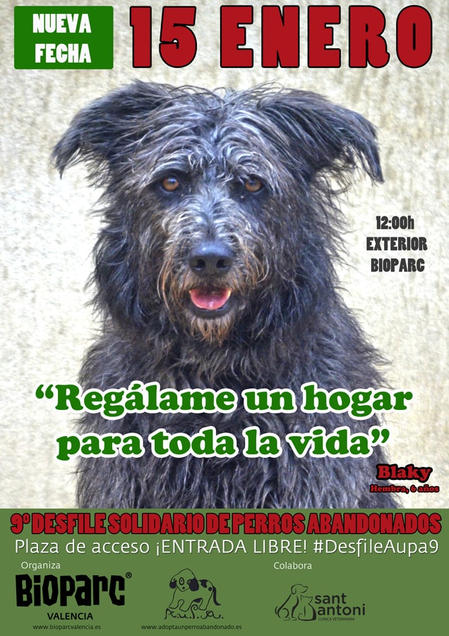 9º desfile solidario de perros abandonados AUPA - BIOPARC | Adopta un perro