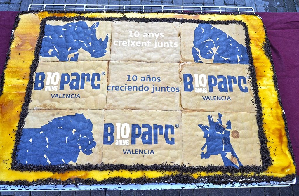Tarta 10º Aniversario BIOPARC Valencia