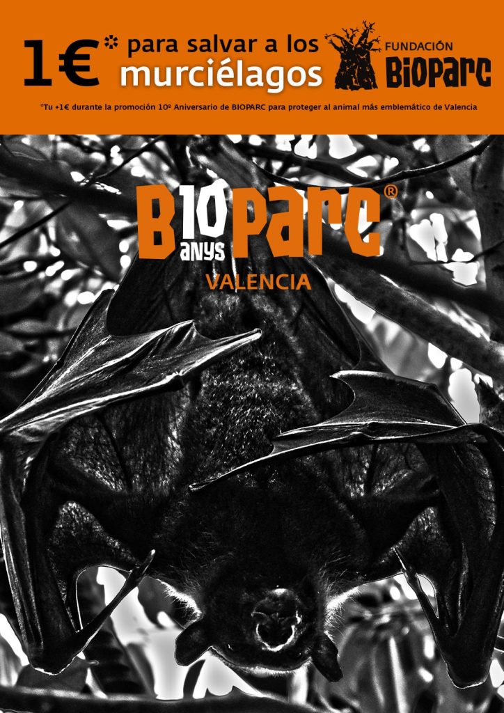 BIOPARC Valencia dedicará "+1€" para a salvar a los murciélagos con la promoción "con causa" de su 10º aniversario
