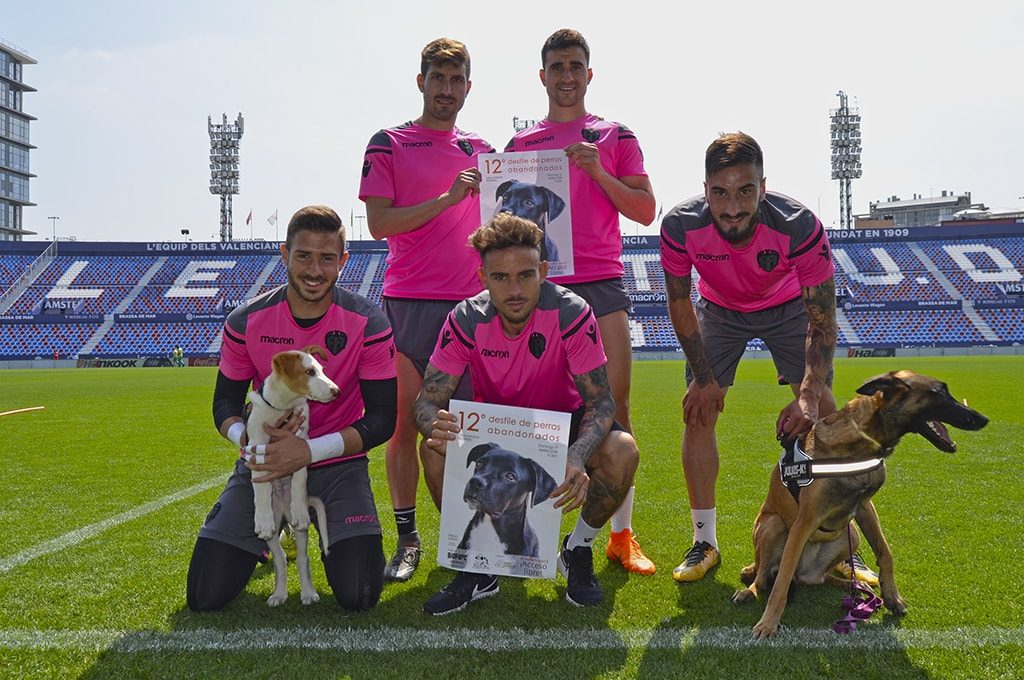 El deporte valenciano se vuelca con el Desfile de perros abandonados de este domingo en BIOPARC