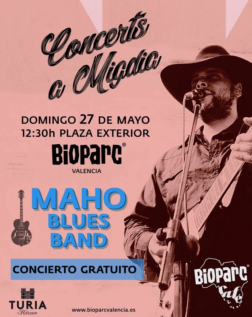 Concerts a migdia - concierto gratuito en la terraza del restaurante BIOPARC Café