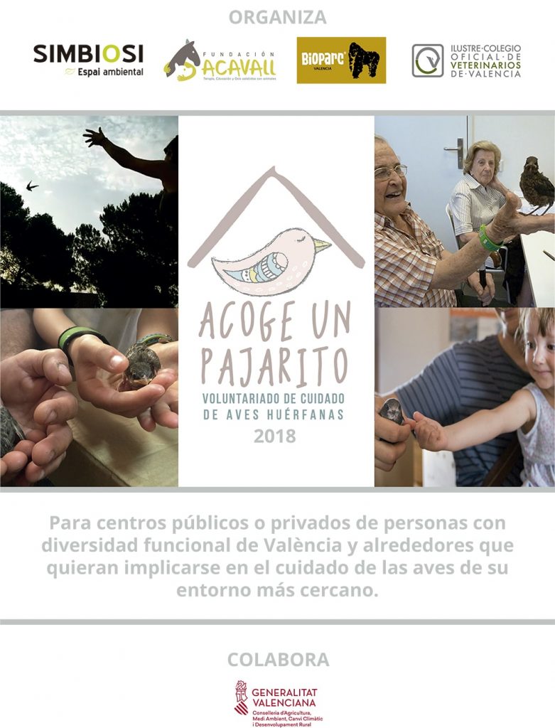 Cartel Acoge Un Pajarito 2018 - web
