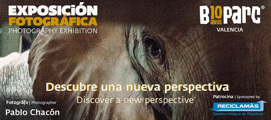 BIOPARC Valencia muestra “lo que no se ve” en una exposición fotográfica