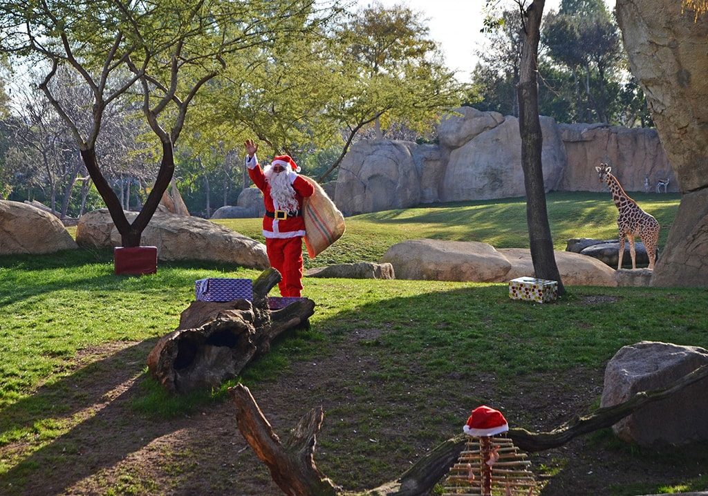 Los animales de BIOPARC Valencia celebran la Navidad con la visita de Papá Noel y el Alcalde de la ciudad