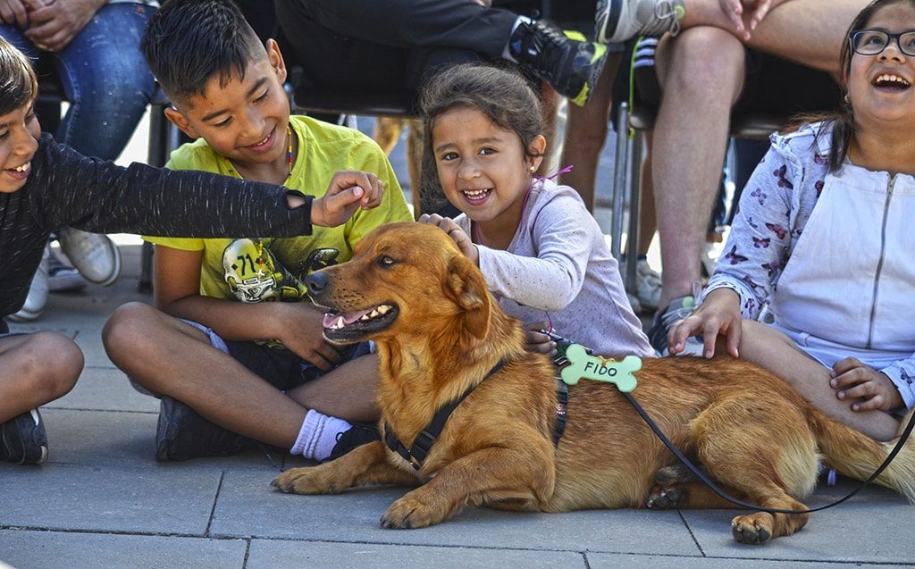 Éxito de asistencia en el Desfile de perros abandonados AUPA-BIOPARC para reescribir la vida de muchos canes