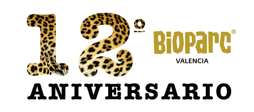 BIOPARC Valencia celebra su 12º aniversario comprometido con la biodiversidad