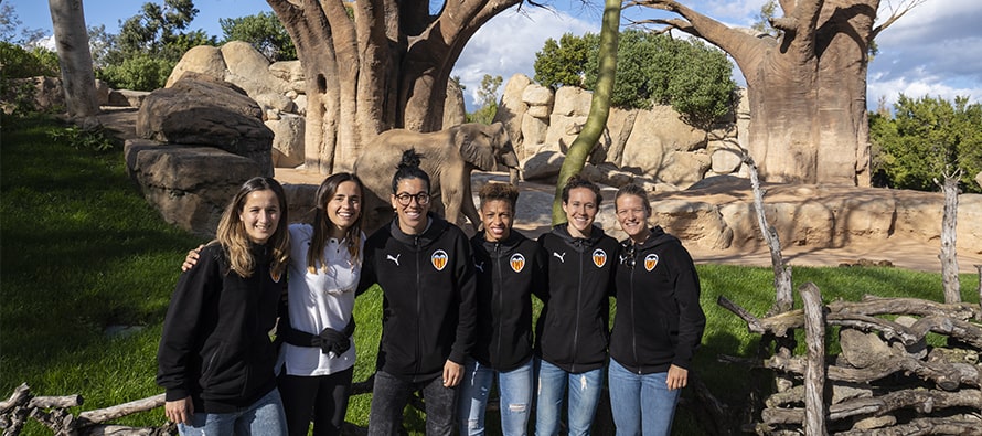 Jugadoras del Valencia CF Femenino visitan BIOPARC en la semana de la mujer