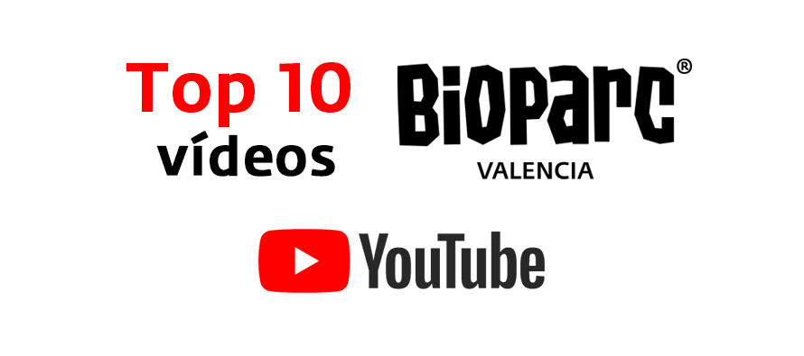 Top 10 Youtube BIOPARC Valencia
