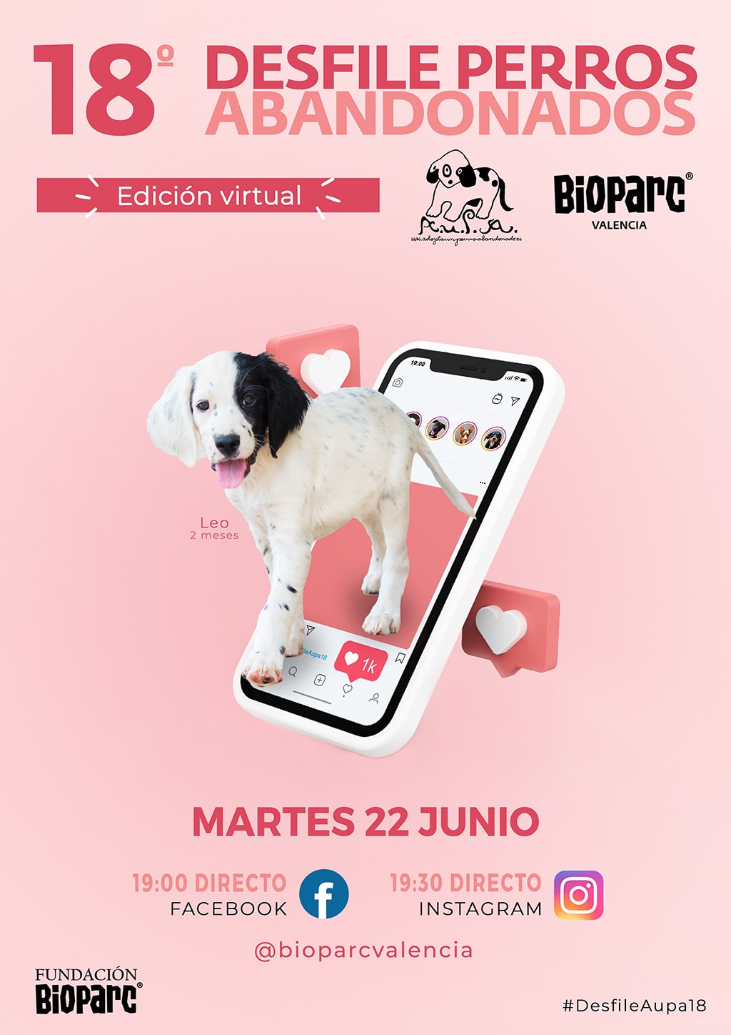 El Desfile de perros abandonados A.U.P.A y BIOPARC Valencia será el 22 de junio