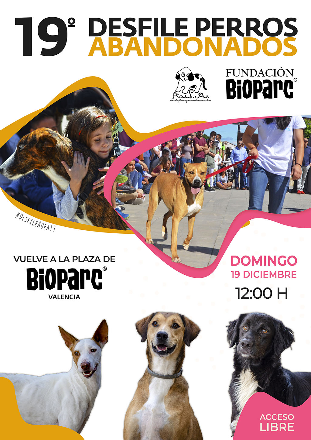Vuelve a BIOPARC el Desfile para adoptar perros abandonados de AUPA