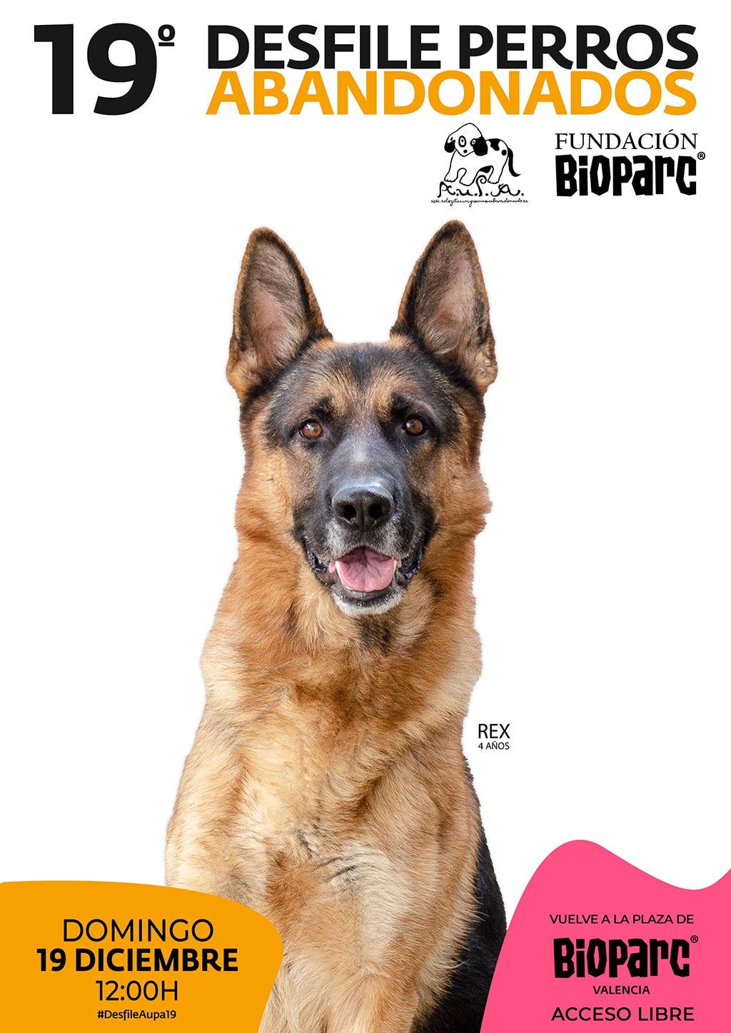 Este domingo 19 vuelve a BIOPARC el 19º Desfile de A.U.P.A para adoptar perros abandonados 