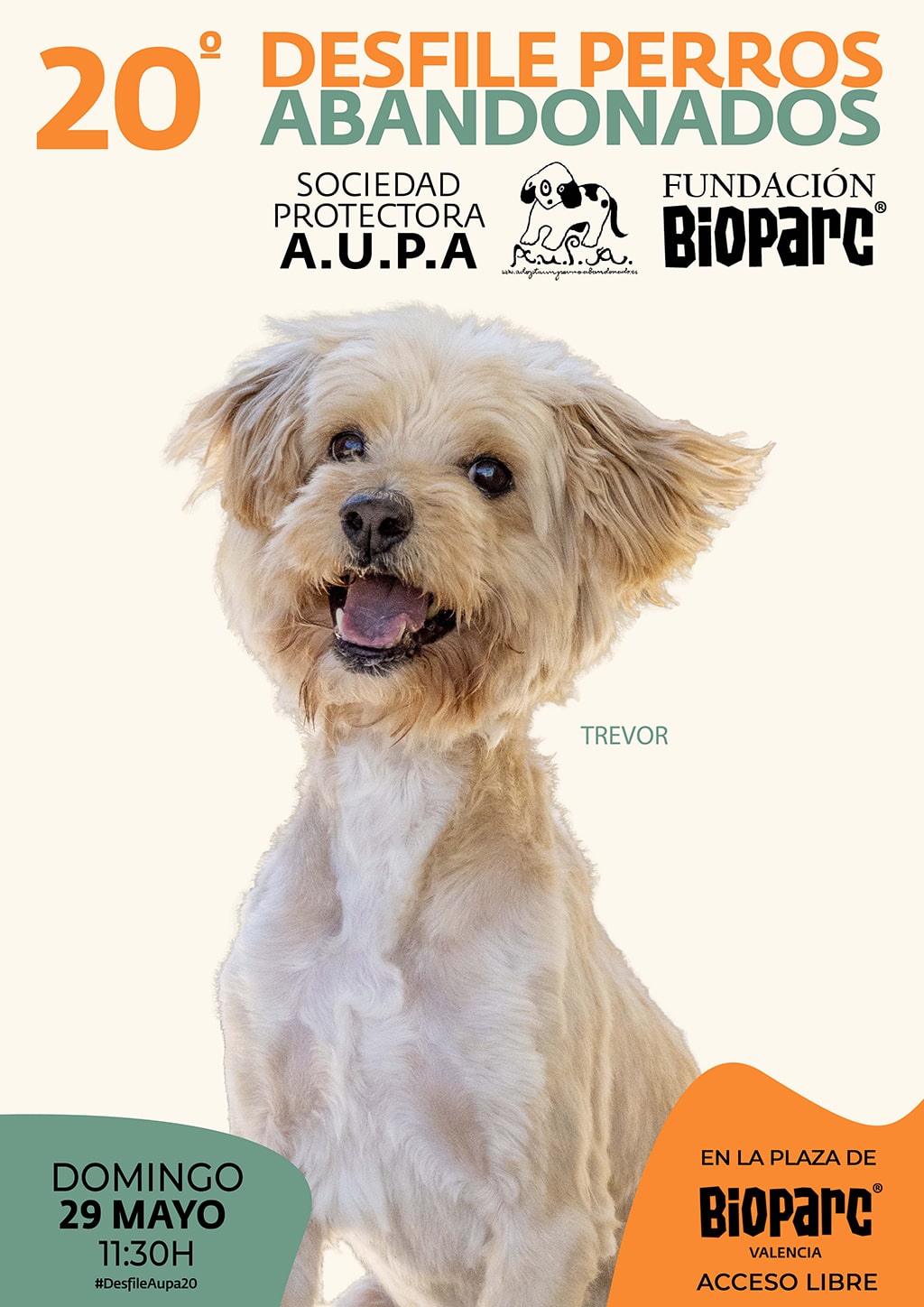 Llega la 20 edición del Desfile de perros abandonados de AUPA y BIOPARC