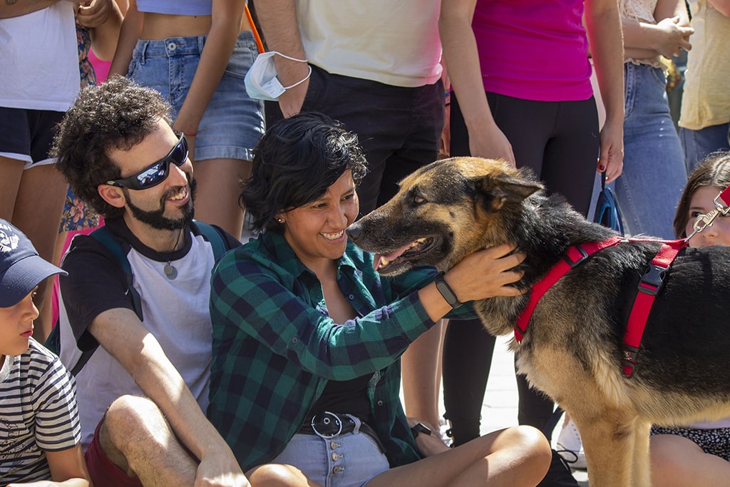 El Desfile de perros AUPA BIOPARC reúne a cientos de personas comprometidas con el bienestar animal