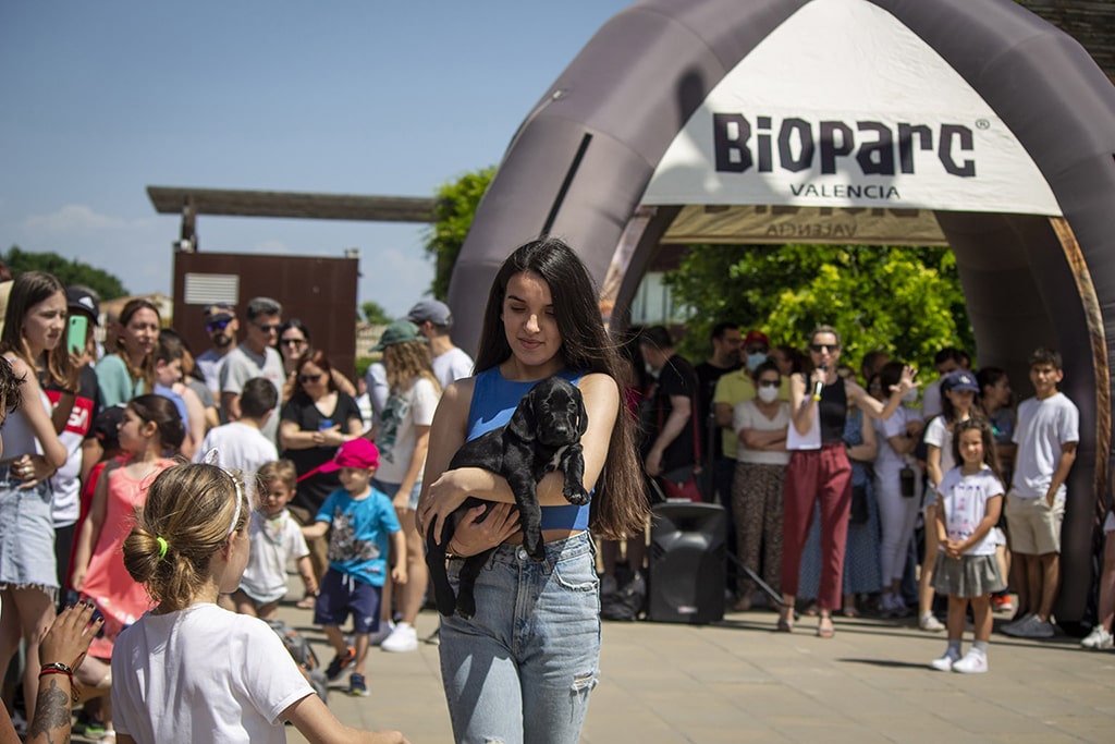 El Desfile de perros AUPA y Fundación BIOPARC reúne a cientos de personas comprometidas con el bienestar animal