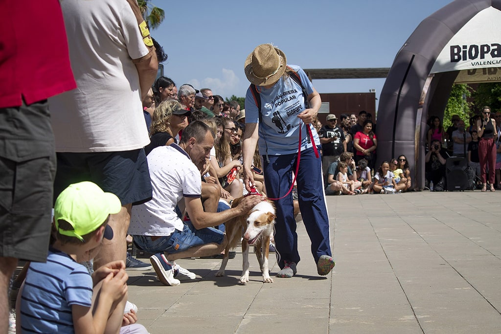 El Desfile de perros AUPA-BIOPARC reúne a cientos de personas comprometidas con el bienestar animal