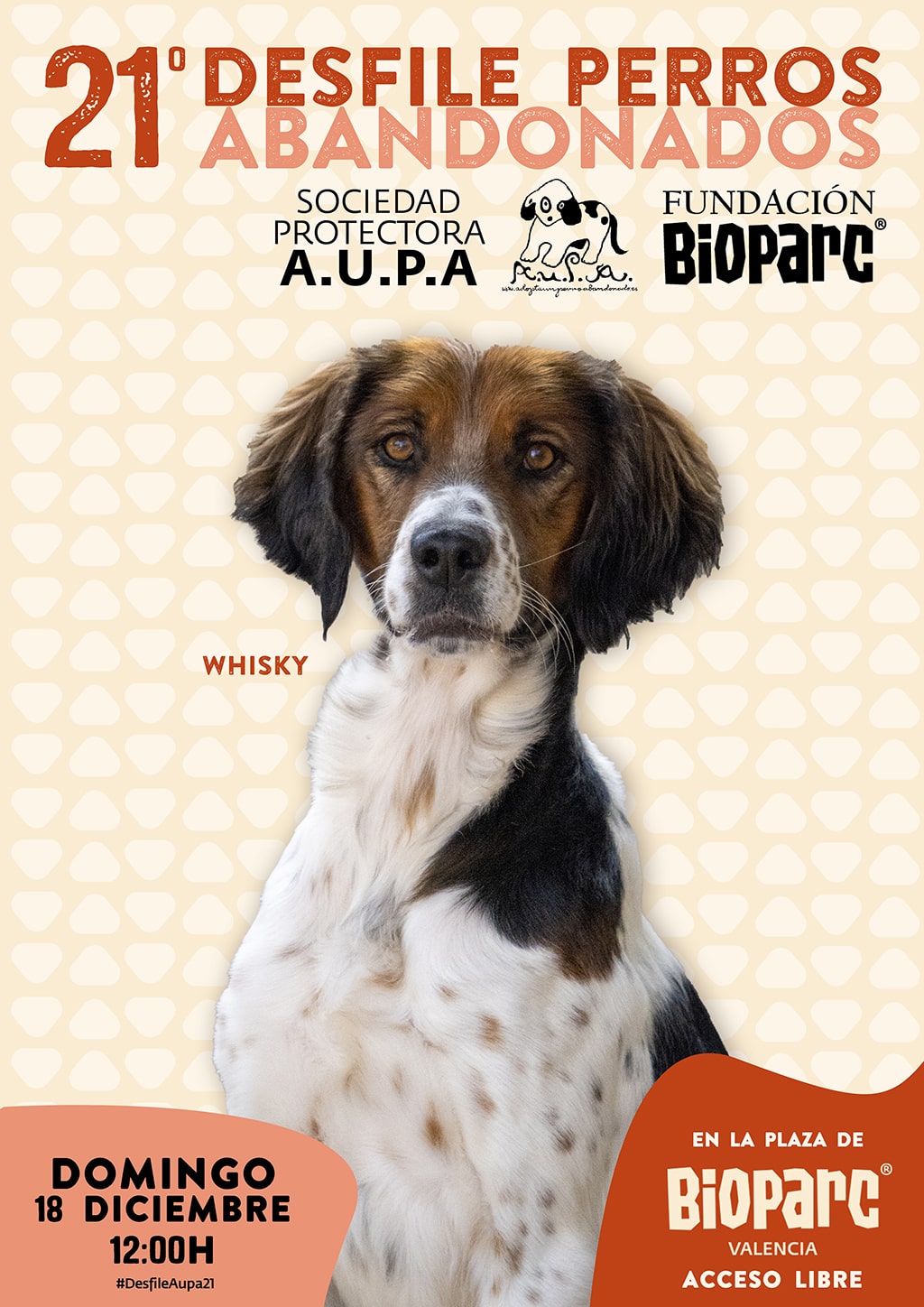 Este domingo BIOPARC Valencia acoge el 21º Desfile para adoptar perros abandonados de la protectora AUPA