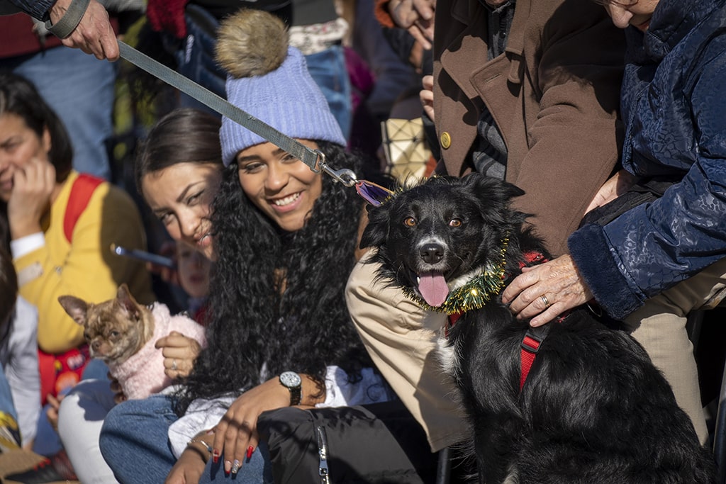 Momentos durante el 21 desfile de perros abandonados AUPA BIOPARC