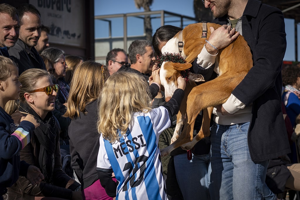 Momentos durante el 21 desfile de perros abandonados AUPA y Fundacion BIOPARC