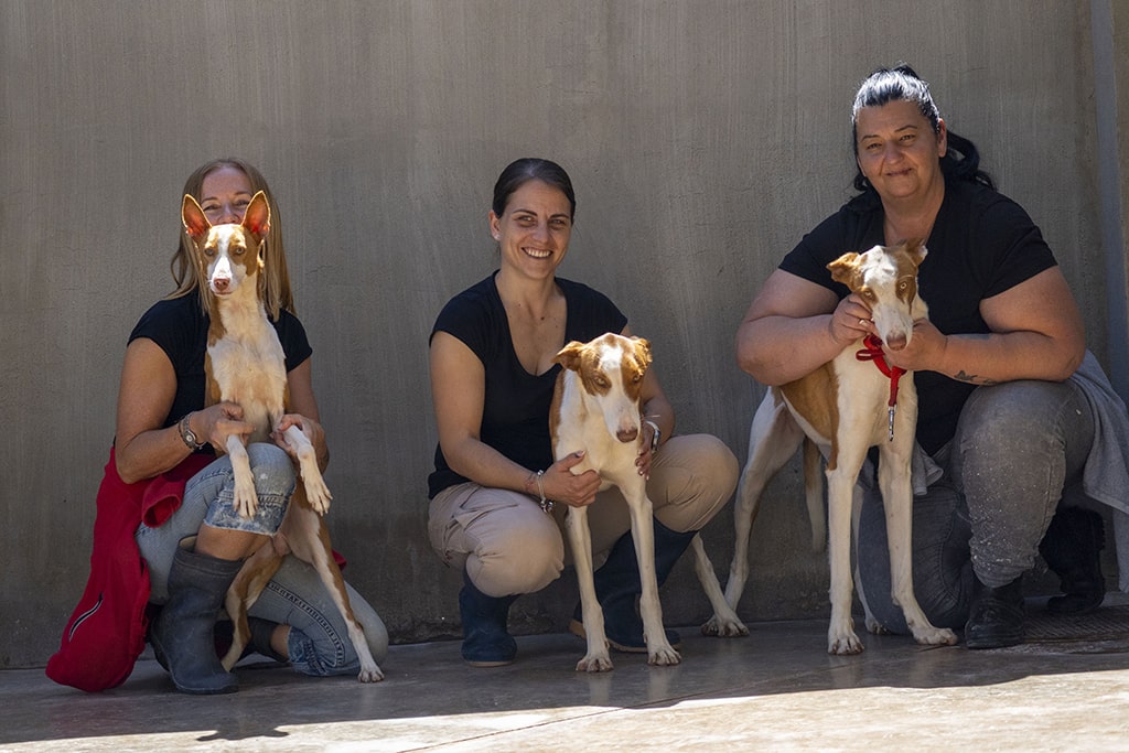 Integrantes de la protectora AUPA con algunos de los protagonistas del 22º desfile de perros abandonados