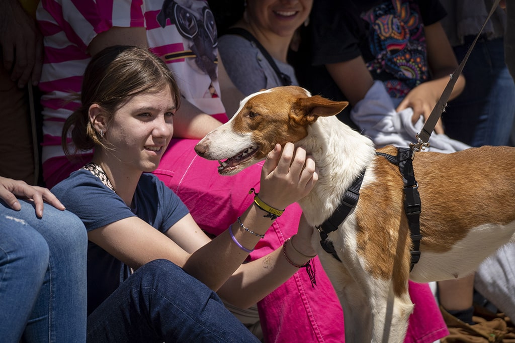 Momentos durante el 22 desfile de perros AUPA-BIOPARC