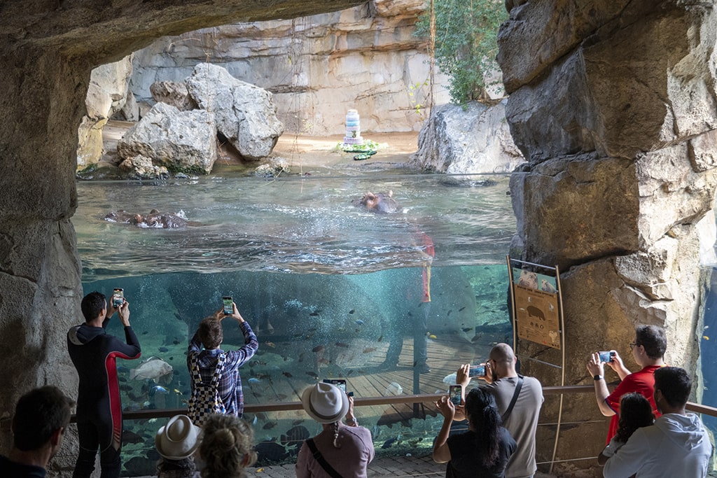 Visitantes en la cueva de Kitum observando a los hipopótamos en el cumple de Gori
