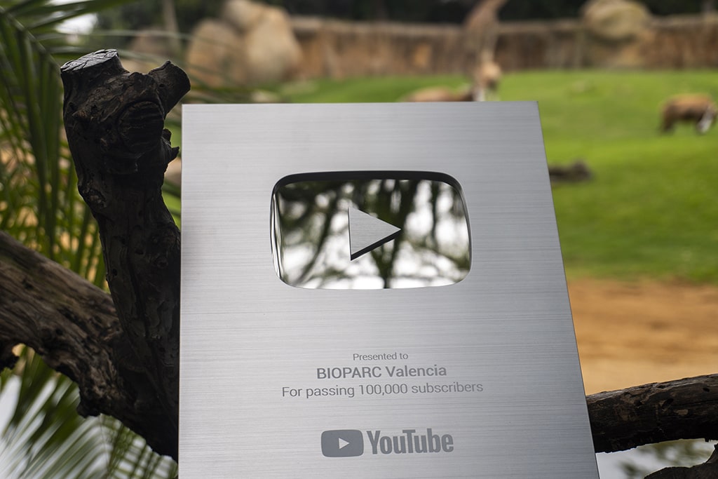 BIOPARC Valencia ha recibido el premio creador de plata de Youtube 