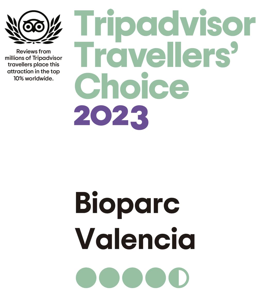 BIOPARC Valencia elegida entre el 10 por ciento de las mejores atracciones de todo el mundo según TripAdvisor