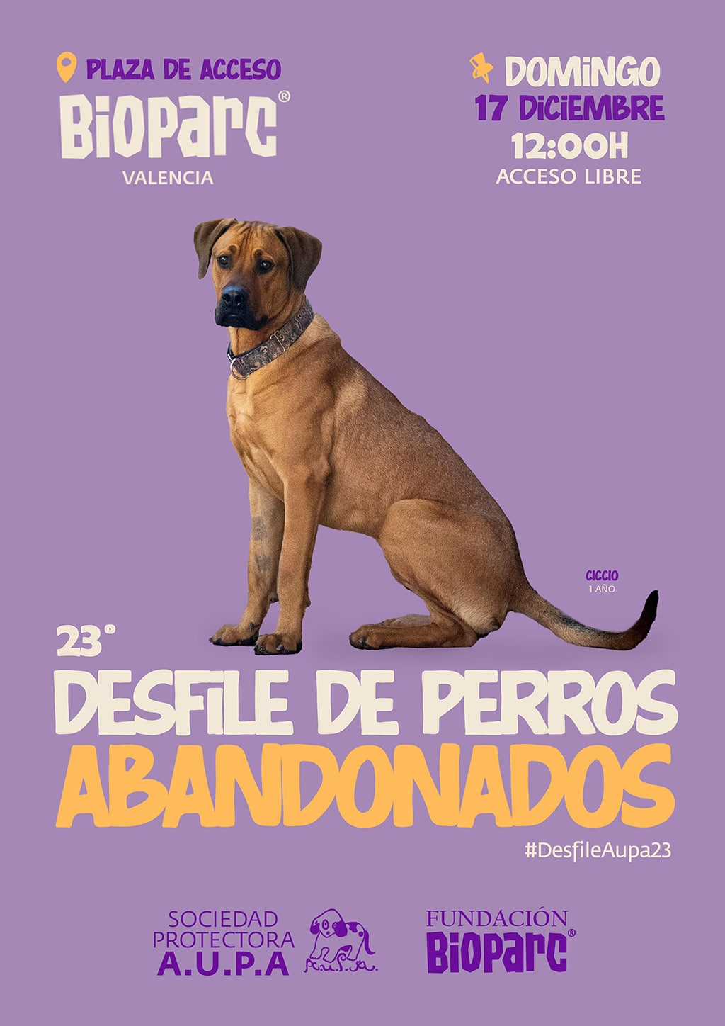 Cartel del 23 desfile AUPA y la Fundación BIOPARC donde perros abandonados buscan un hogar